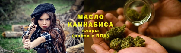 индика Армянск
