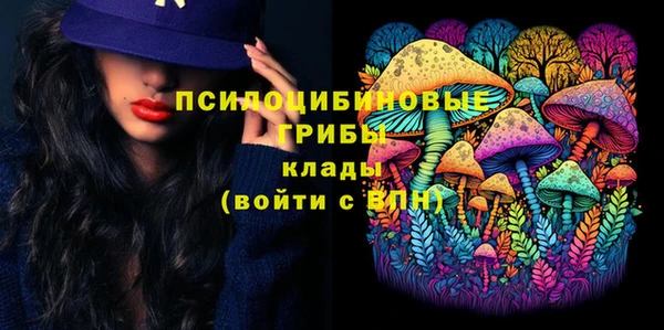 эйфоретик Аркадак