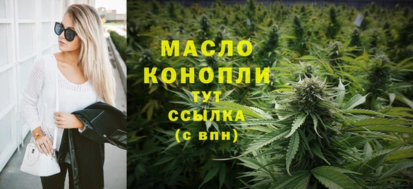 индика Армянск