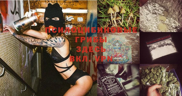 эйфоретик Аркадак