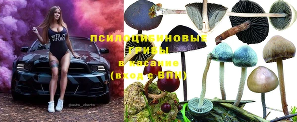 эйфоретик Аркадак