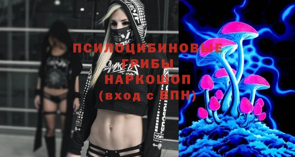 эйфоретик Аркадак