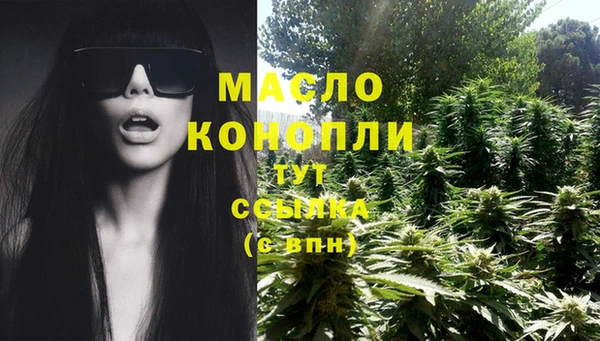 индика Армянск