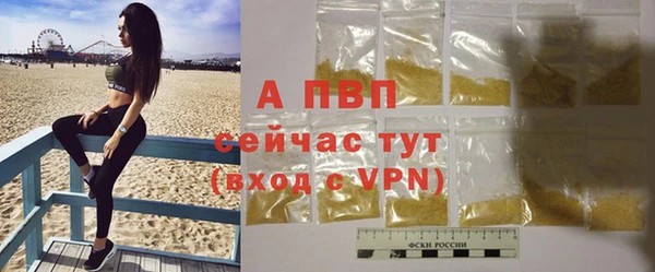 индика Армянск