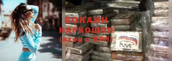 эйфоретик Аркадак
