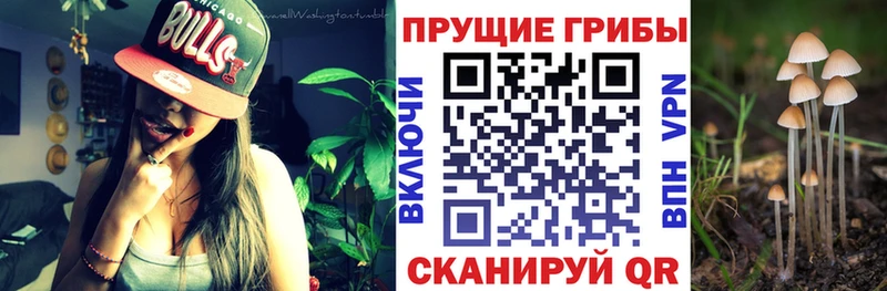Псилоцибиновые грибы Magic Shrooms Новоузенск